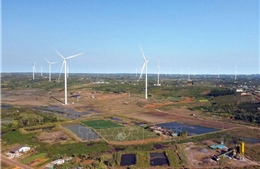 Lâm Đồng chấp thuận chủ trương đầu tư 2 tuyến đường dây 110kV trị giá 367 tỷ đồng