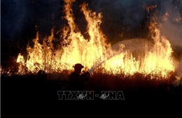 Hàn Quốc: Huy động 5 trực thăng ngăn chặn cháy rừng tại tỉnh Gyeongsang Bắc