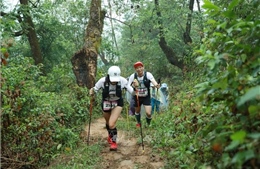 Hơn 300 vận động viên leo núi chinh phục đỉnh Tả Liên Sơn cao gần 3.000m