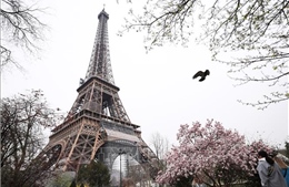 Thủ đô nước Pháp tiếp tục bị ‘chảy máu dân số’