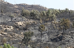 Ngày Trái Đất 2026: Những thách thức không chỉ từ môi trường