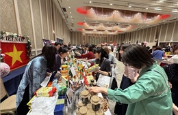 Lan tỏa các sản phẩm truyền thống Việt Nam tại Hội chợ từ thiện ở Nhật Bản