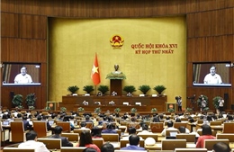 Sẽ giám sát để đánh giá năng lực thực thi của chính quyền địa phương 2 cấp