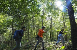Chuẩn hóa hoạt động du lịch mạo hiểm