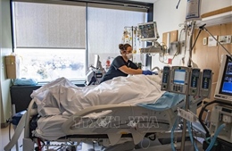 Mỹ tăng cường truy quét gian lận trong hệ thống Medicaid