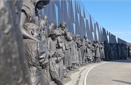 Khi lịch sử trở thành lời nhắc về hòa bình