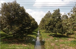 Cần Thơ chủ động ứng phó nguy cơ hạn hán, xâm nhập mặn