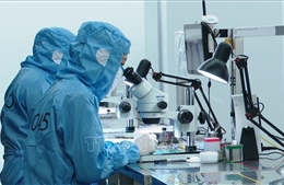 Kiện toàn Ban Chỉ đạo phát triển khoa học, công nghệ, đổi mới sáng tạo, chuyển đổi số và Đề án 06