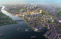 Đồng Nai - từ thương cảng sầm uất đến thành phố sân bay