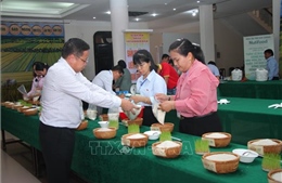 Nâng tầm chất lượng hạt gạo Đồng bằng sông Cửu Long