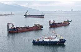 Xây dựng Bến cảng container Liên Chiểu theo mô hình 'cảng xanh, cảng thông minh'