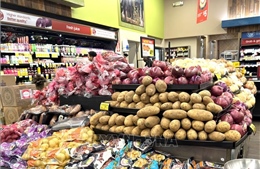 Mỹ nối lại chương trình tín dụng hỗ trợ Nigeria mua nông sản Mỹ