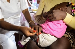 Ngày Thế giới phòng, chống sốt rét 25/4/2026: Đích đến trong tầm tay