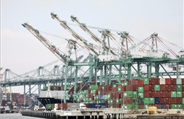 Mỹ: Hàng nhập khẩu đi đường vòng để tránh thuế đã vượt 300 tỷ USD