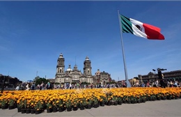 World Cup 2026: Thủ đô Mexico City triển khai nhiều điểm xem bóng đá công cộng