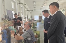 Thúc đẩy hợp tác địa phương và giao lưu văn hóa Việt Nam - CH Séc