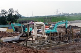 Ninh Bình xử lý vi phạm đê điều trên tuyến đê tả Đáy qua Ý Yên