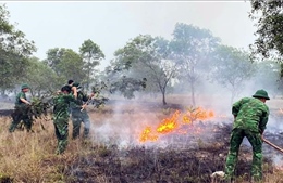 Quảng Trị chủ động phòng ngừa cháy rừng trong cao điểm nắng nóng