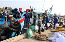 Khắc phục 'thẻ vàng IUU': Đồng Tháp siết quản lý tàu cá