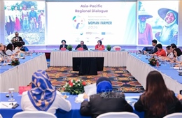 Năm Quốc tế nữ nông dân 2026: Hợp tác xã mở rộng cơ hội cho phụ nữ phát triển kinh tế