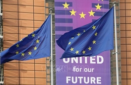 EU có thể thiệt hại hơn 400 tỷ USD nếu loại bỏ nhà cung cấp Trung Quốc