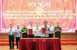Thiết lập 'lá chắn xanh' bảo vệ đa dạng sinh học biển tại Cô Tô - Đảo Trần