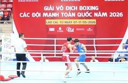 Khai mạc Giải vô địch boxing các đội mạnh toàn quốc năm 2026