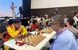 Chưa có danh sách chính thức đội tuyển Cờ vua Việt Nam tham dự Chess Olympiad 2026