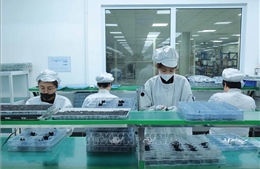 Khuyến khích khu vực tư nhân và đội ngũ trí thức tham gia phát triển khoa học công nghệ