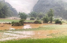 Mưa lớn kèm dông lốc, sét gây nhiều thiệt hại tại các địa phương