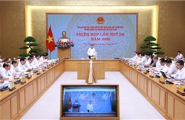 Các Ban Chỉ đạo quyết tâm tháo gỡ điểm nghẽn, chuyển đổi số thực chất