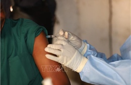 WHO: Nguy cơ bùng phát dịch Ebola trên toàn cầu ở mức thấp
