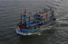 Ban hành Quy chế hoạt động của Ban Chỉ đạo về IUU