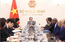 Đưa quan hệ hợp tác Việt Nam - châu Phi lên tầm cao mới