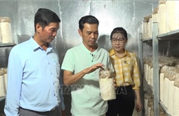 Phát triển nông nghiệp hiện đại trong thời đại số