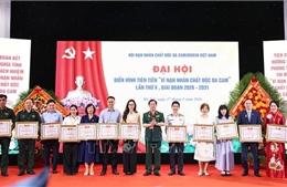 Lan tỏa mạnh mẽ tinh thần thi đua vì nạn nhân chất độc da cam