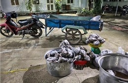 Tây Ninh bắt vụ vận chuyển trái phép 127 kg thằn lằn núi Bà Đen