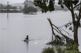 Bão lớn tàn phá Tây Australia, gần 70.000 hộ dân mất điện