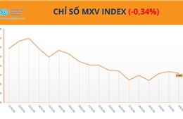 Áp lực bán quay lại, MXV-Index lùi về 2.859 điểm