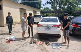 Tây Ninh: Bắt giữ 9 người trong đường dây chuyên trộm và tiêu thụ chó