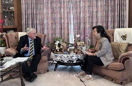 Tiên phong thúc đẩy cấu trúc khu vực lấy ASEAN làm trung tâm
