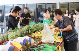 Trái cây Việt ngày càng phủ sóng thị trường Trung Quốc