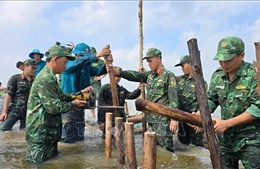 Nâng cao nhận thức cộng đồng, chủ động ứng phó thiên tai