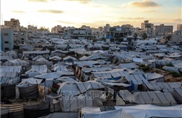 Dải Gaza đối mặt đồng thời sức ép an ninh và nhân đạo