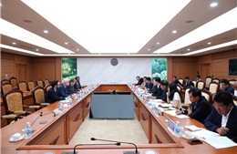 Tăng cường hợp tác với OECD trong việc nâng cao năng lực quản trị doanh nghiệp