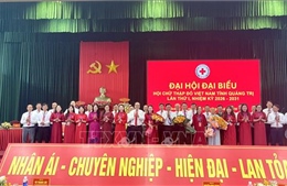 Chú trọng phát triển các mô hình nhân đạo bền vững gắn với giảm nghèo