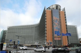 EU áp thuế đối với hàng nhập khẩu thương mại điện tử giá trị thấp