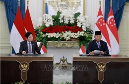Indonesia, Singapore thúc đẩy hợp tác toàn diện, củng cố liên kết ASEAN