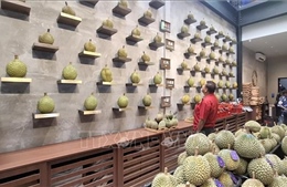 Thị trường nông sản: Sầu riêng Malaysia gặp khó với thị trường Trung Quốc