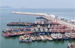 Trung Quốc căng mình phòng chống bão Bavi